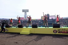 たこやきレインボー