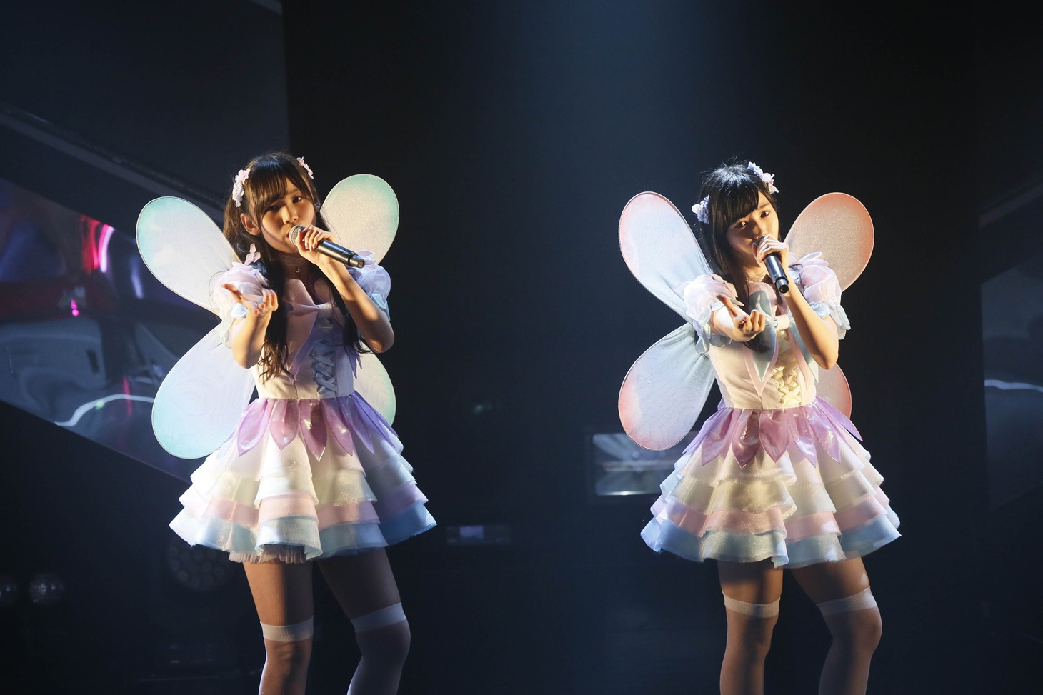 fairy w!nk (c)AKS