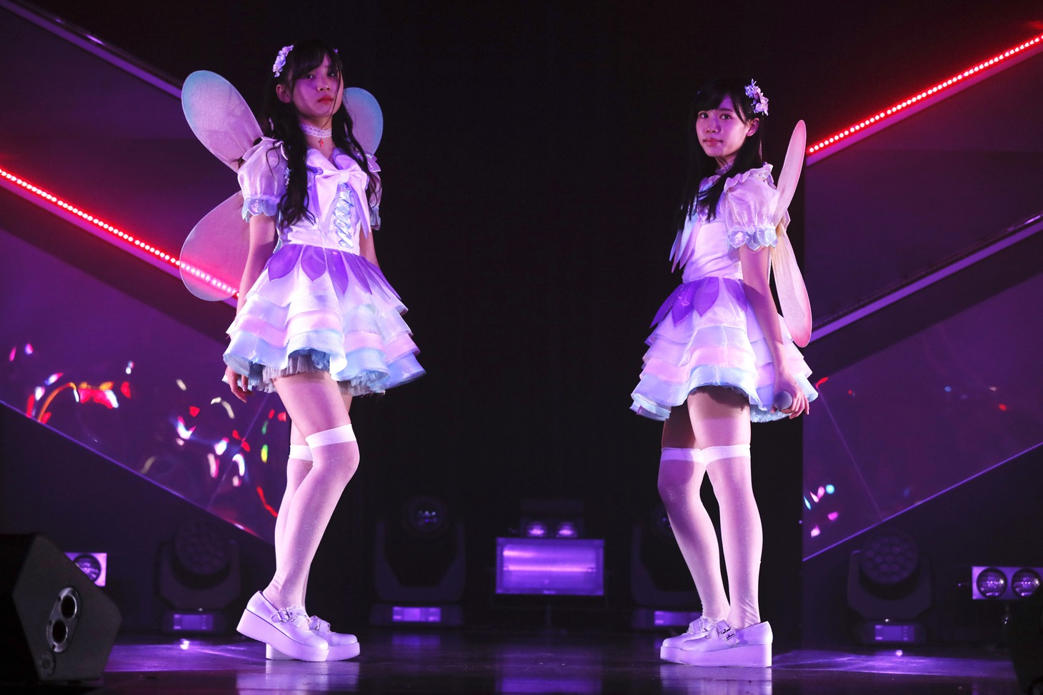 fairy w!nk (c)AKS