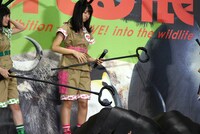 ダンゴムシの防護力の高さに攻撃をあきらめるぽっぽーあーりん。