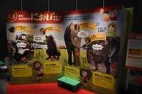 「MOVE 生きものになれる展 -動く図鑑の世界にとびこもう！-」展示物
