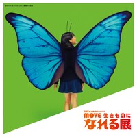 「MOVE 生きものになれる展 -動く図鑑の世界にとびこもう！-」蝶々