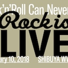 浅井健一ユニット、ドミコ、ex.ひかさ但野新プロジェクトが初顔合わせ