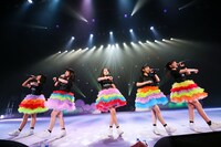 ロッカジャポニカ「Magical View キセキとキセキの物語」の様子。（撮影：笹森健一）