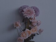 ヒトリエ「Loveless」コラボレーション映像のワンシーン。