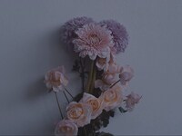 ヒトリエ「Loveless」コラボレーション映像のワンシーン。