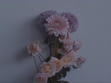 ヒトリエ「Loveless」コラボレーション映像のワンシーン。