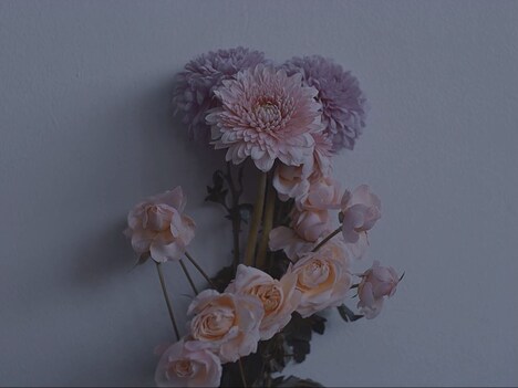 ヒトリエ「Loveless」コラボレーション映像のワンシーン。