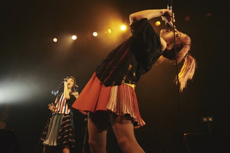 おやすみホログラム（Photo by Genki Arata）