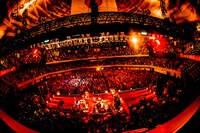 「サンボマスター【1st日本武道館2017】～そのたてものに用がある～」の様子。（撮影：浜野カズシ）