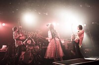 Shiggy Jr.（撮影：田中聖太郎）