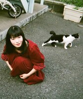 にゃんぞぬデシ