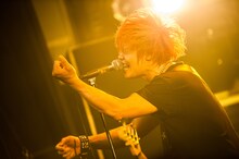 アカマトシノリ（Vo, B / HOTSQUALL）（Photo by manaty）