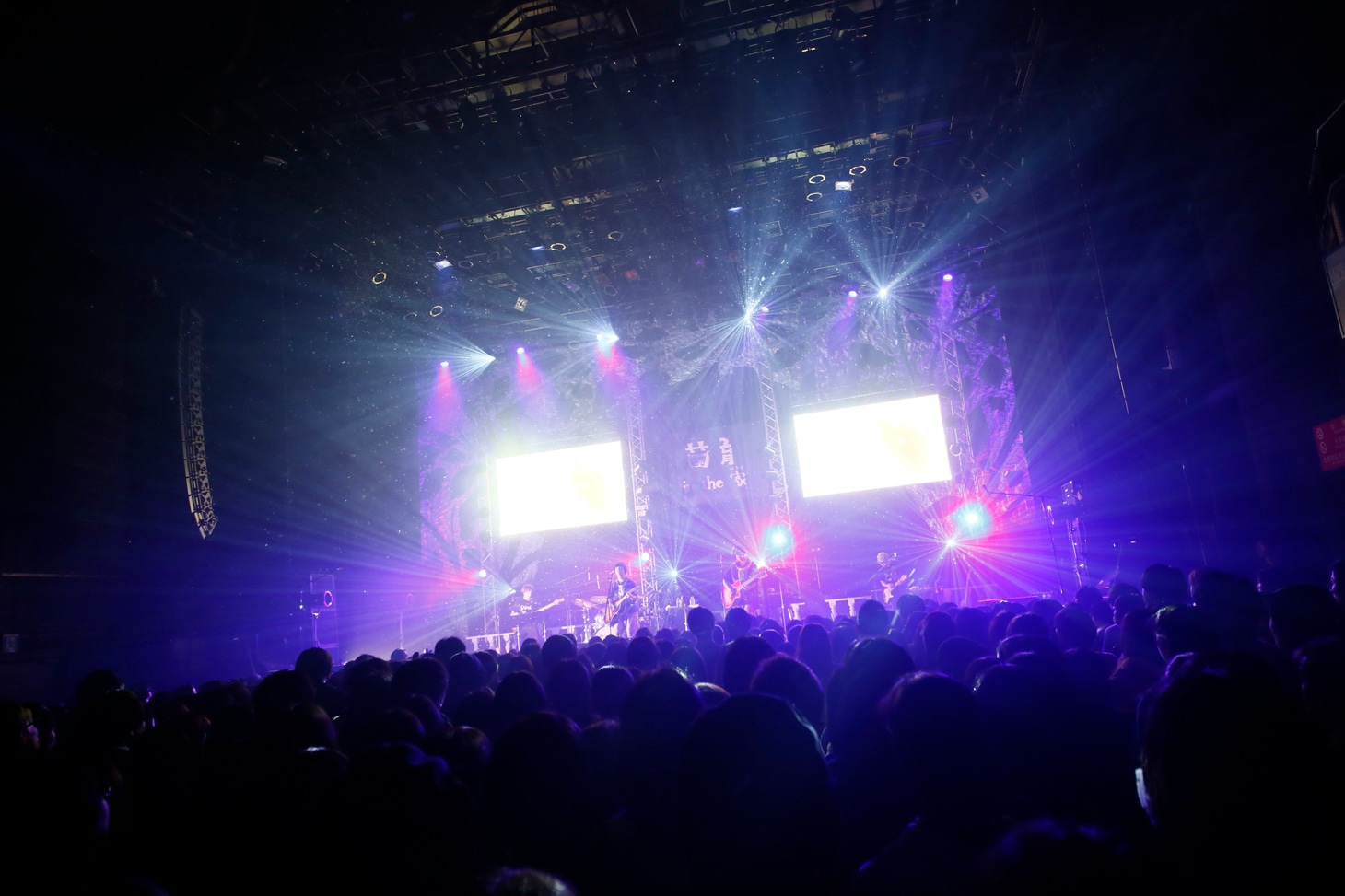 さくらしめじのマイナビBLITZ赤坂公演の様子。（撮影：ハヤシサトル）