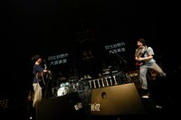 さくらしめじ（撮影：ハヤシサトル）