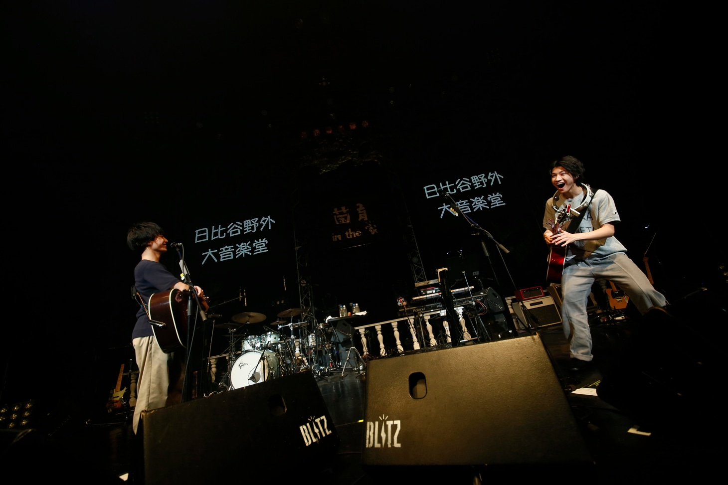 さくらしめじ（撮影：ハヤシサトル）