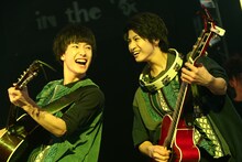 さくらしめじ（撮影：ハヤシサトル）