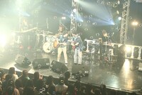 さくらしめじ（撮影：ハヤシサトル）