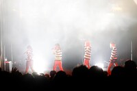 BILLIE IDLE（写真提供：オツモレコード）