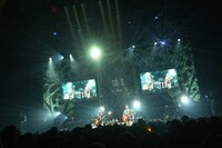 さくらしめじのマイナビBLITZ赤坂公演の様子。（撮影：ハヤシサトル）