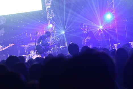 さくらしめじ（撮影：ハヤシサトル）