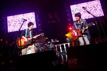 さくらしめじ（撮影：ハヤシサトル）