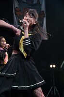 ヒマワリ（写真提供：ポニーキャニオン）