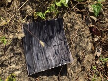 LILI LIMIT「LIB EP」イメージ