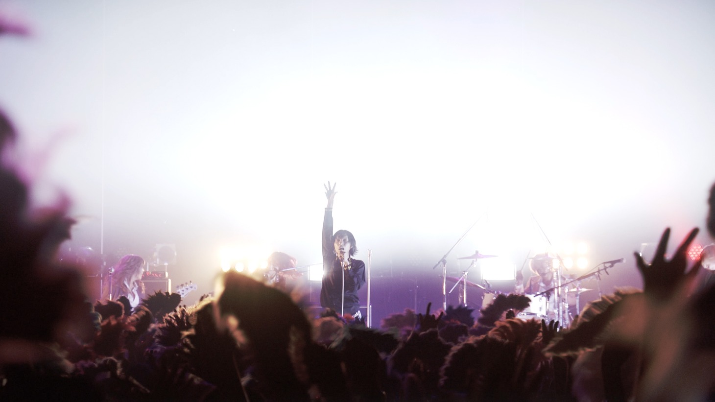 「女王蜂 全国ツアー2017『A』」東京・Zepp DiverCity TOKYO公演より「デスコ」ライブ映像のワンシーン。