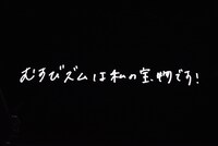 エンドロールで流れた今井マイからのラストメッセージ。
