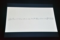 真山りか生誕ソロライブ「まやまにあ」の様子。