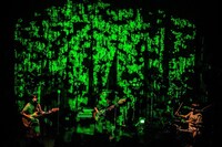 リーガルリリー