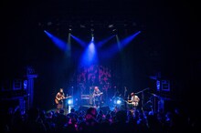 リーガルリリー