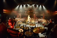 LOW IQ 01 & MASTER LOW（撮影：橋本塁[SOUND SHOOTER]）