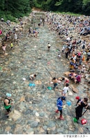 今年行われた「FUJI ROCK FESTIVAL'17」より浅貝川河川敷の様子。