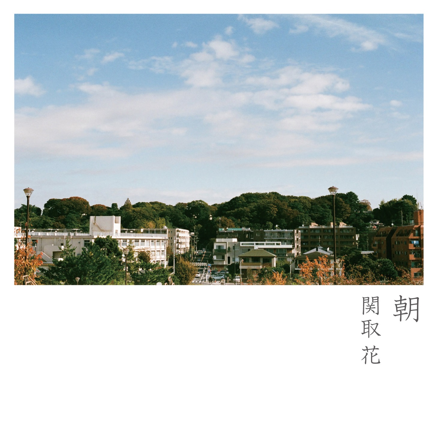 関取花「朝」ジャケット