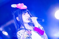 けちょん（Photo by shinz）