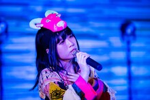 けちょん（Photo by shinz）