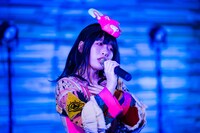 けちょん（Photo by shinz）