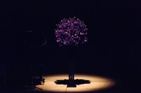 ステージに飾られた紫のバンダ。