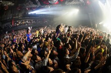 WANIMA「1CHANCE NIGHT ～来年は戌年!! ワンワン吠えて、ワンチャンばい!!～」東京・新木場STUDIO COAST公演の様子。（撮影：瀧本 JON... 行秀）