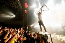 WANIMA「1CHANCE NIGHT ～来年は戌年!! ワンワン吠えて、ワンチャンばい!!～」東京・新木場STUDIO COAST公演の様子。（撮影：瀧本 JON... 行秀）