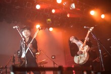 サニーデイ・サービス（撮影：石垣星児）