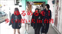 「ゆるめるモ！が台湾で『歩くの遅い犬』を踊ってみた」より。