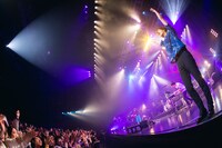 Czecho No Republicのライブの様子。（撮影：山川哲矢）