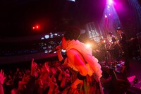 EGO-WRAPPIN'「Midnight Dejavu」の様子。（撮影：仁礼博）