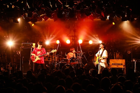 Saucy Dog（撮影：白石達也）