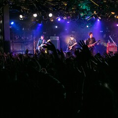 ウソツキ、緑黄色社会&Saucy Dog招いた対バンツアーファイナル