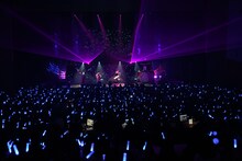 「M.S.S Project LIVE TOUR2017 ～PHOENIX -Eternal Flame-～」大阪国際会議場 グランキューブ大阪公演の様子。