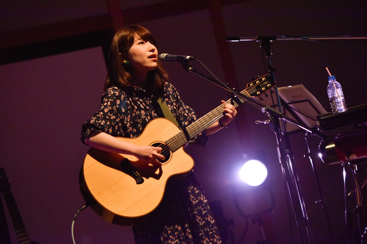 関取花（撮影：高田梓）